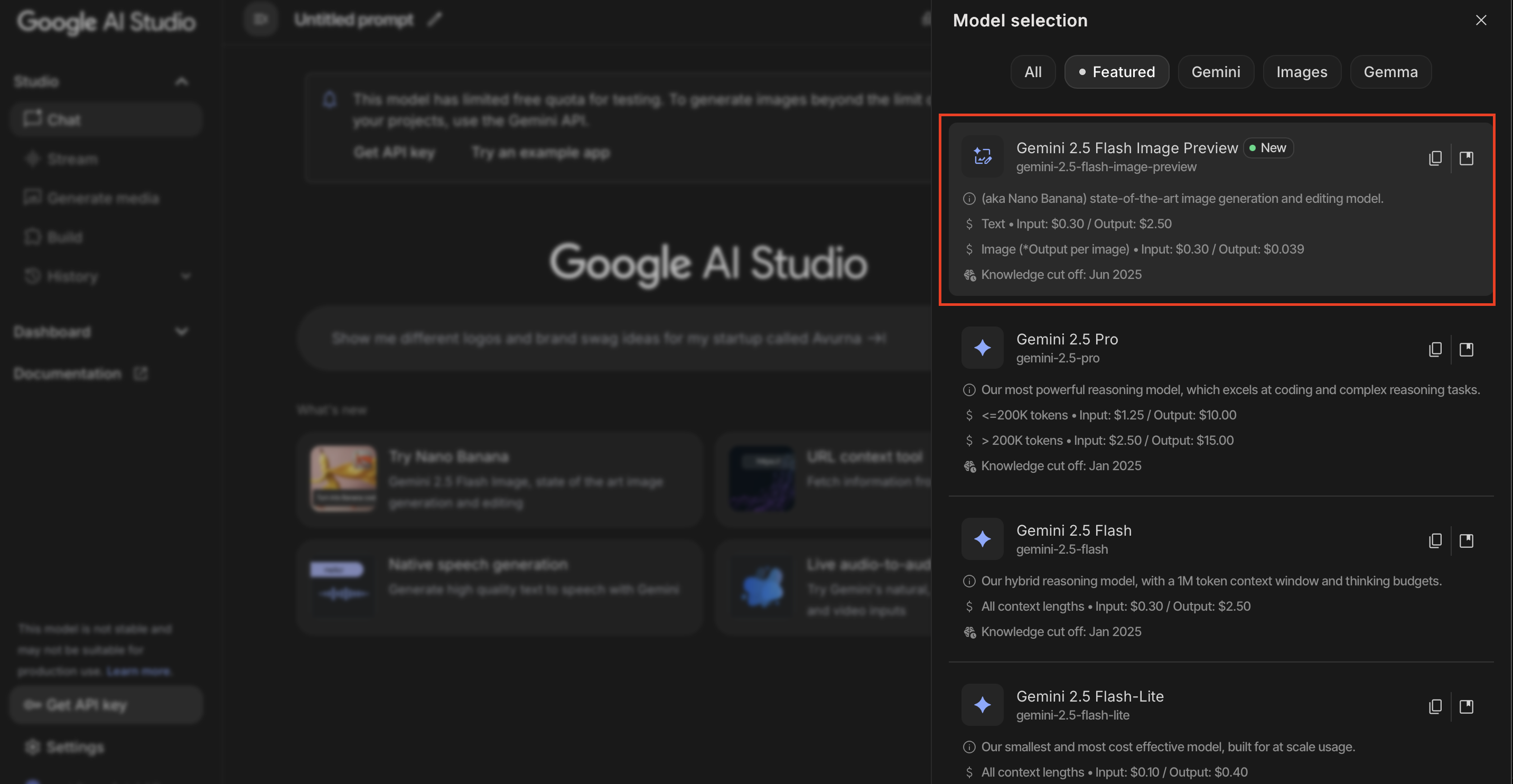 AI Studio Model Selection AI Studio Model Selection Interface